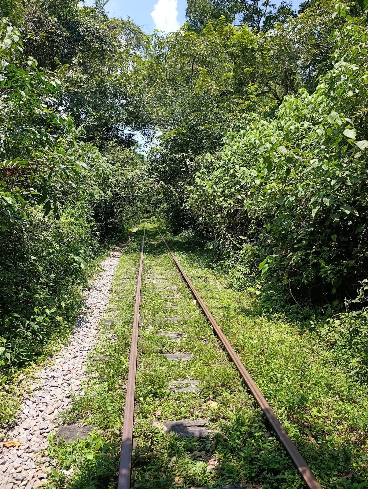 Senderismo y naturaleza — actividad turística en Villeta, Cundinamarca