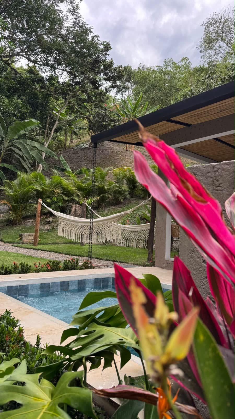 Flores tropicales junto a la piscina